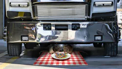 69c29a59e9f93e36a4ed8c05 Rats Fm0326 69c29a59e9f93e36a4ed8c05 Rats Fm0326