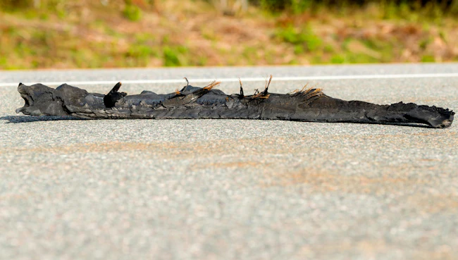 road gator / tire blowout