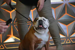 Walter, the Mack Trucks bulldog mascot, made an appearance during the engine announcement. Walter, the Mack Trucks bulldog mascot, made an appearance during the engine announcement.