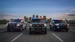 6a7f12d4c9aed3d9d00d2707 Ford Police Lineup