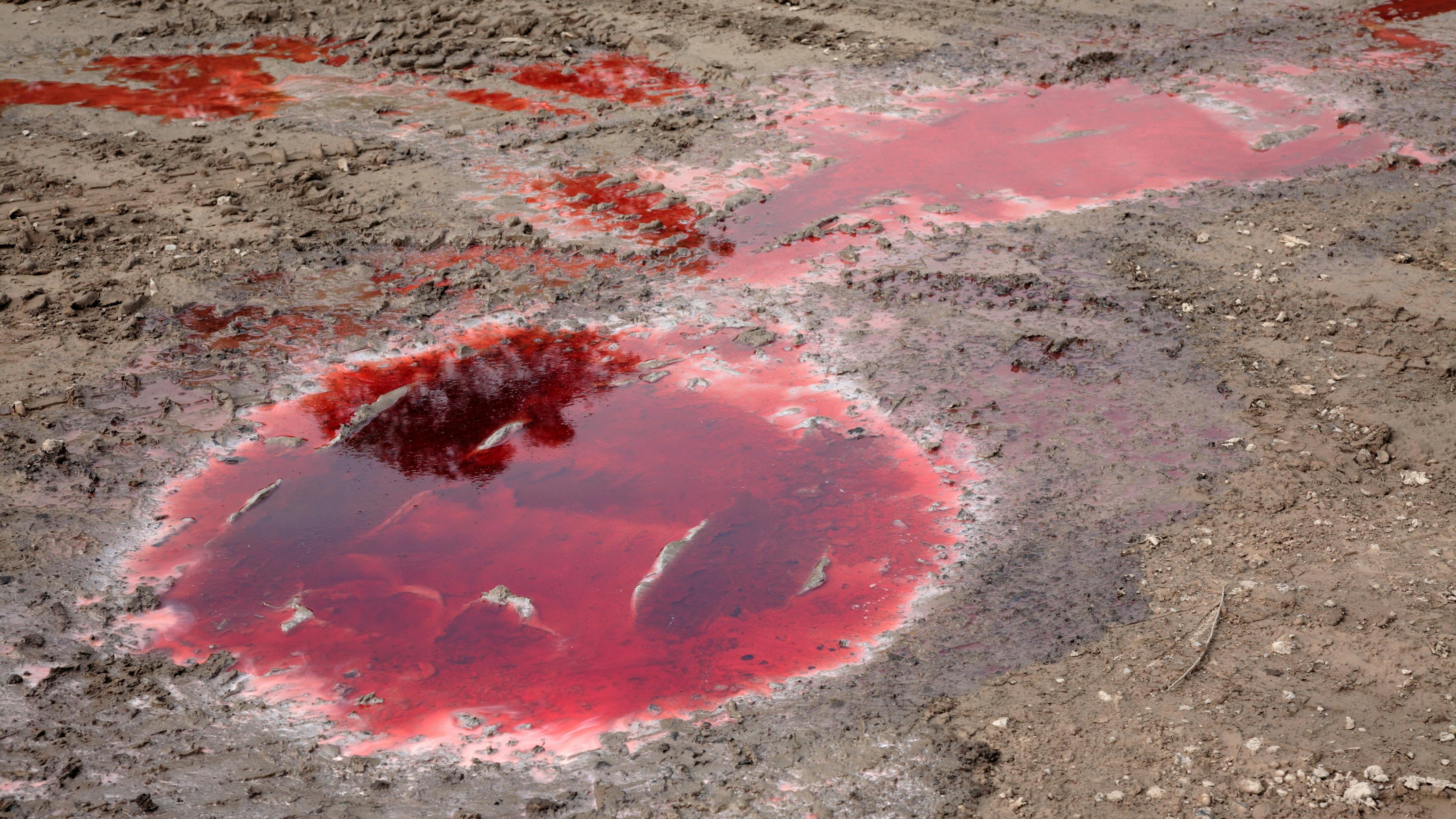 red-dye-diesel-puddle-dreamstime_xl_9275261